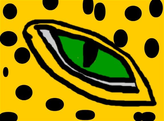 Leopard eyes