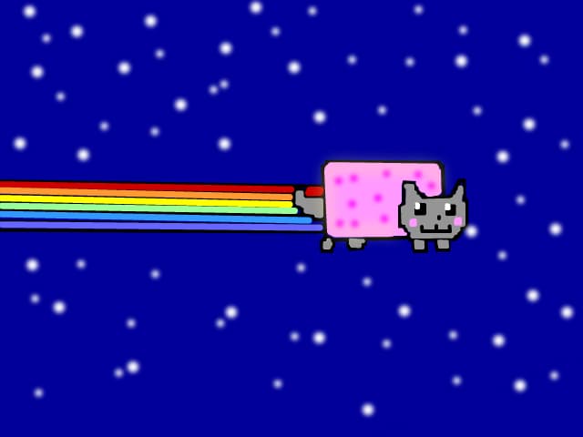 cat rainbow