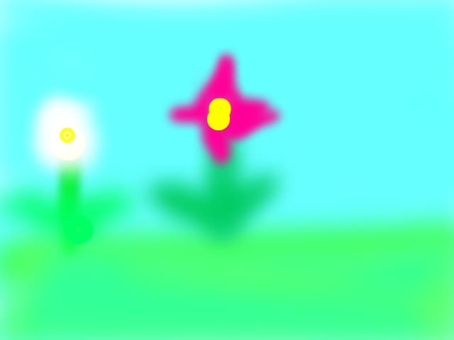 flori