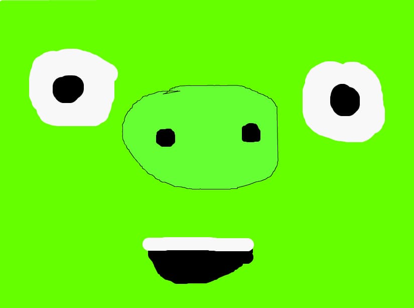 pig