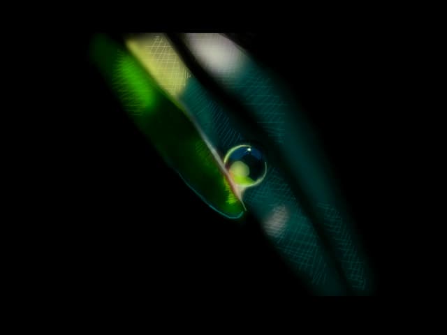 Water drop.