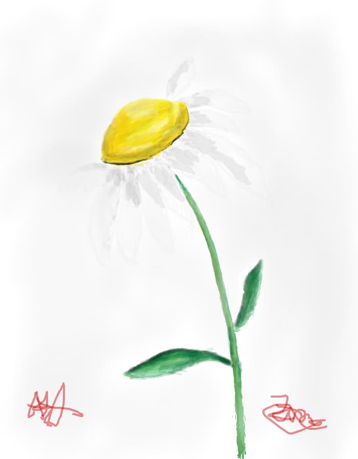 O floare
