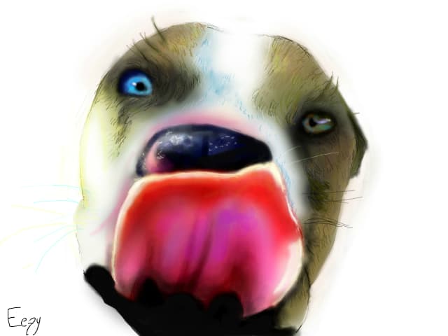 Incercare de Pit bull...
