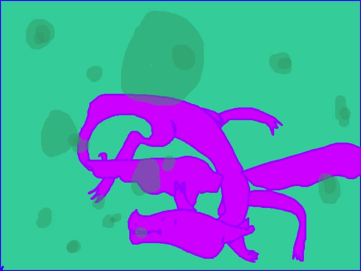 e ciudat, dar toate speciile, in afara de cei de apa, pot respira in apa