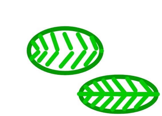 Frunzele