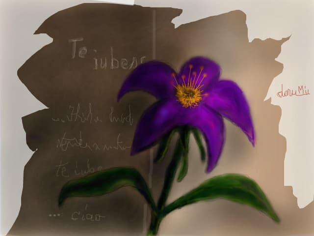 o floare