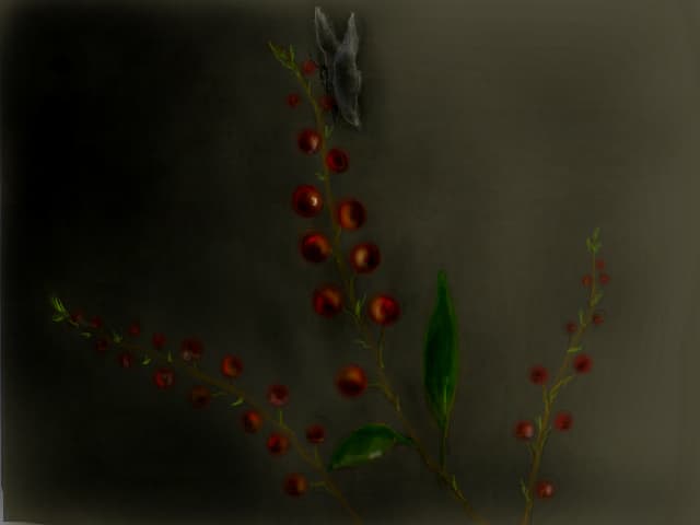 fructe..