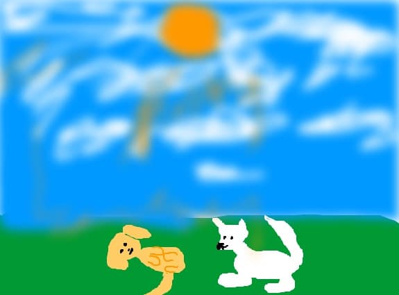 Catelusi