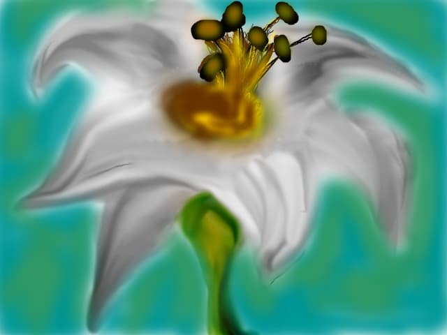 o floare
