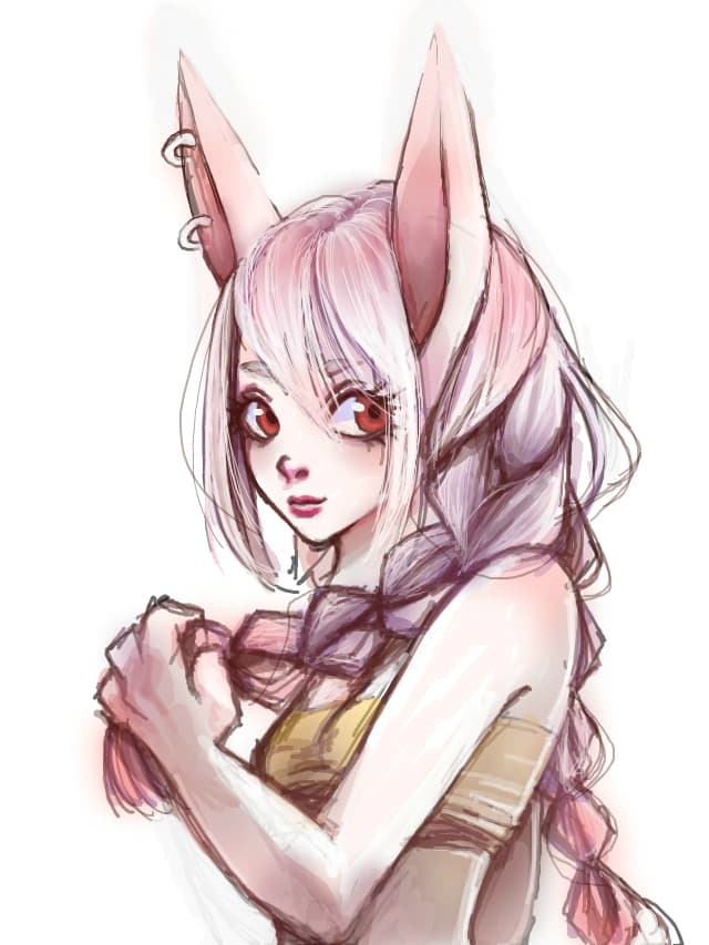 Albino Bunny