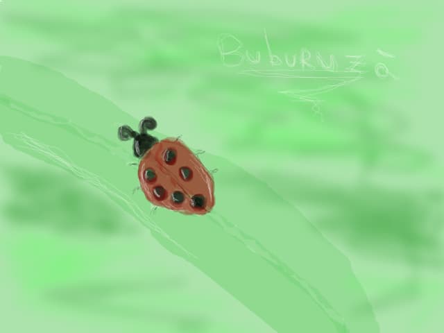 Buburuza