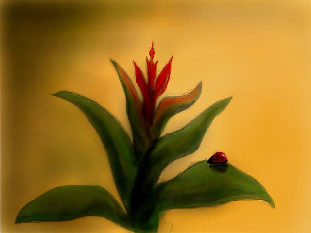 floare