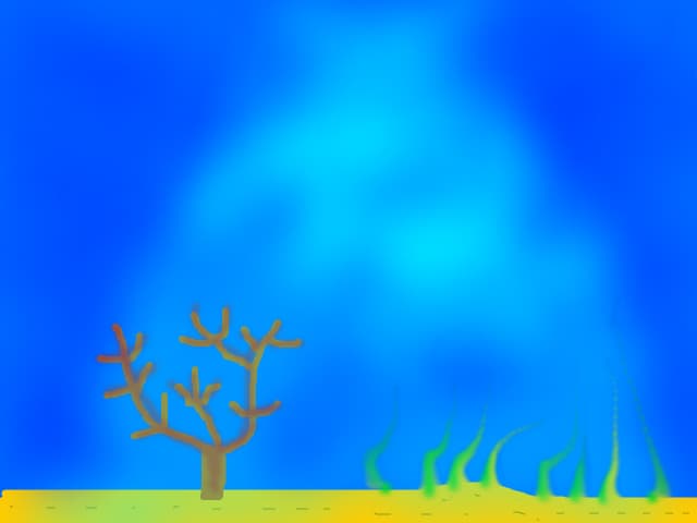 Marea