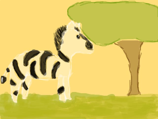 Zebra