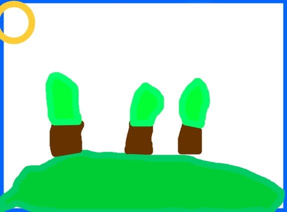 Summer Forest
