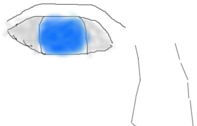 Desenatorii.ro