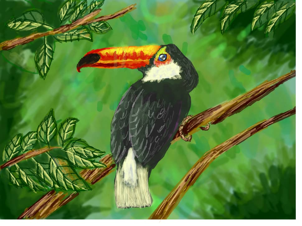 Parrot