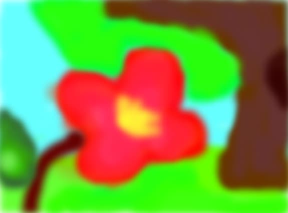 FLORICICA DRAGUTA