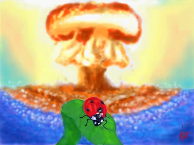 No war