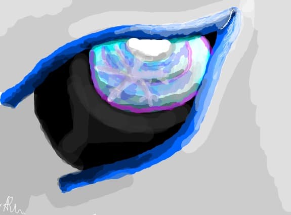 Eye