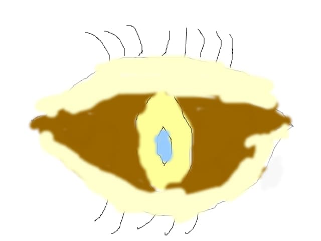 ,,,