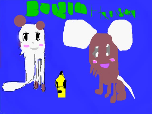 Boubum + Transformice