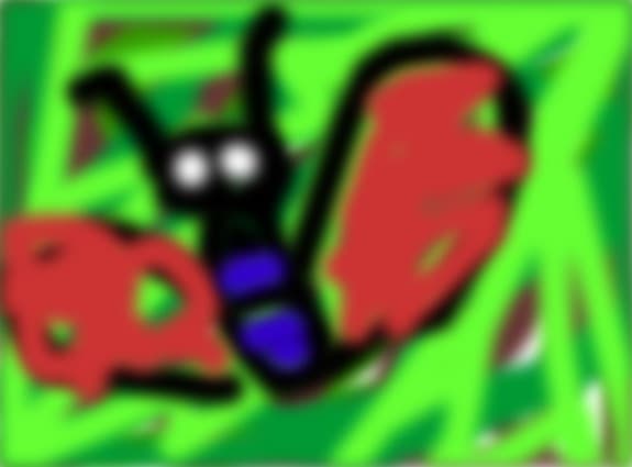 fluturas