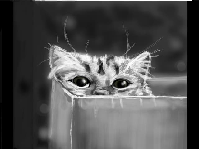 brr cat