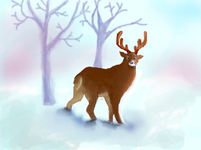 reindeer