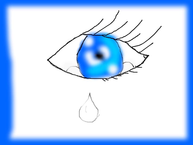 The eye