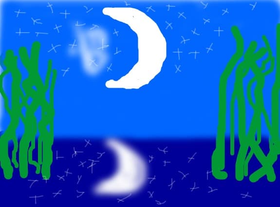 reflexia lunii