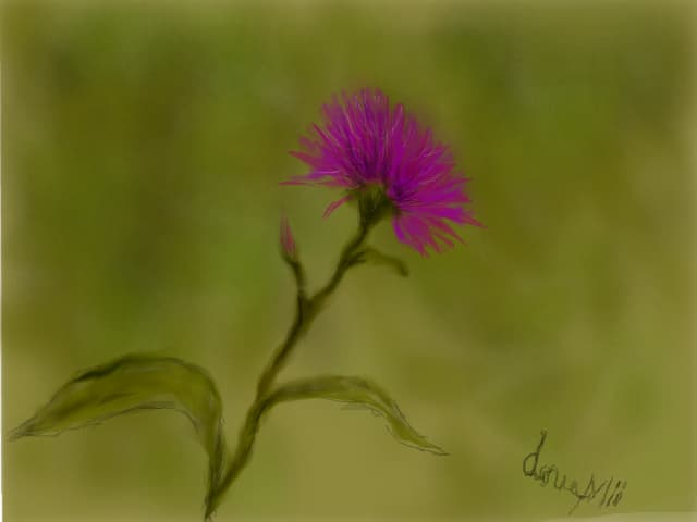 ...floare
