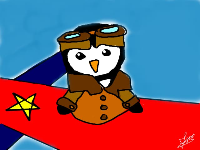 Pin-Pin aviator :))