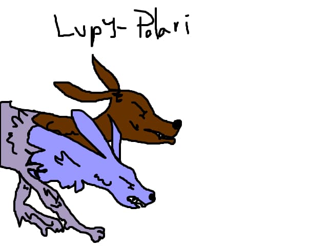 2 capete de lupi, unul normal, altul polar