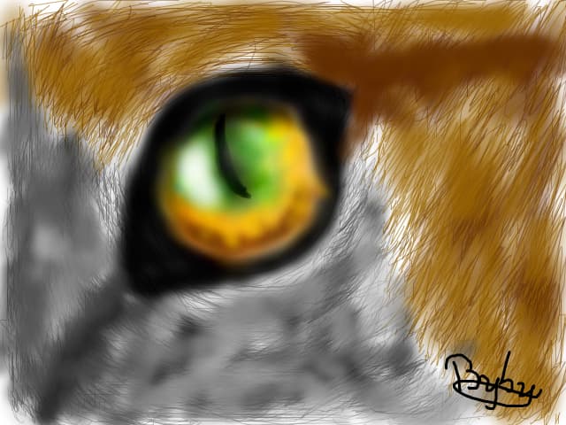 C@t Eye