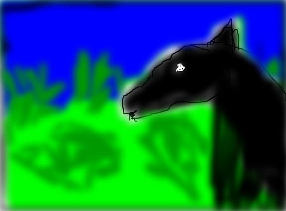 Black Beauty