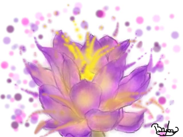 Pink Lotus Flower