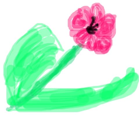 FLOARE