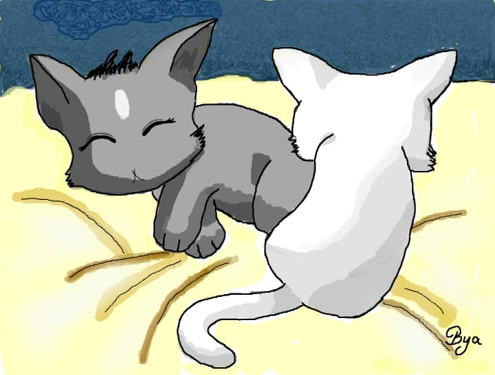 Cats