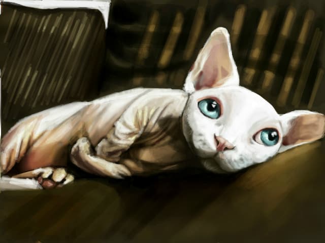 Meow~ primul desen pe acest an