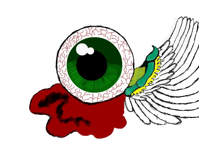 eye