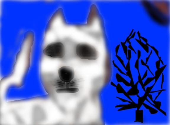 meow pisii