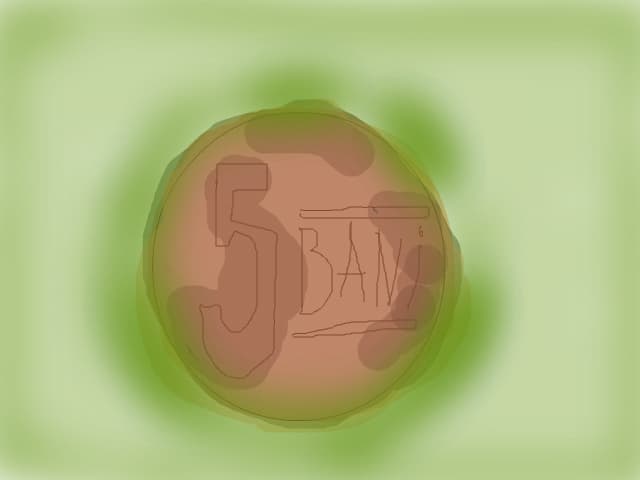 5 bani