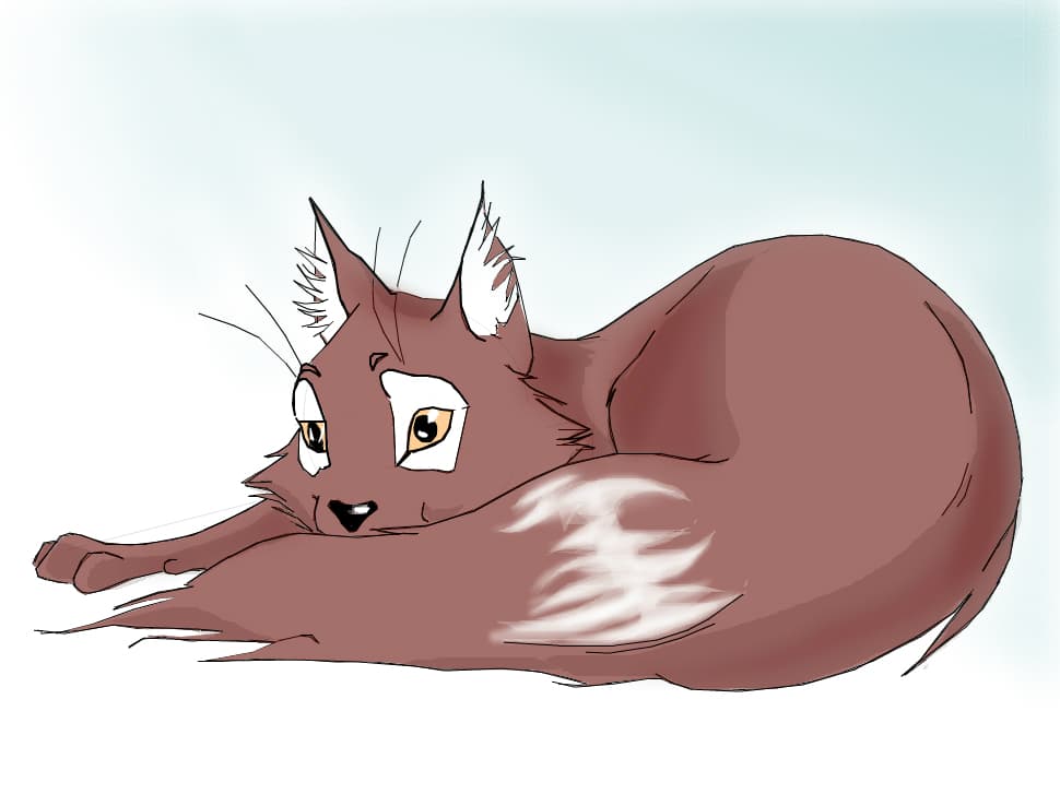 MIAU