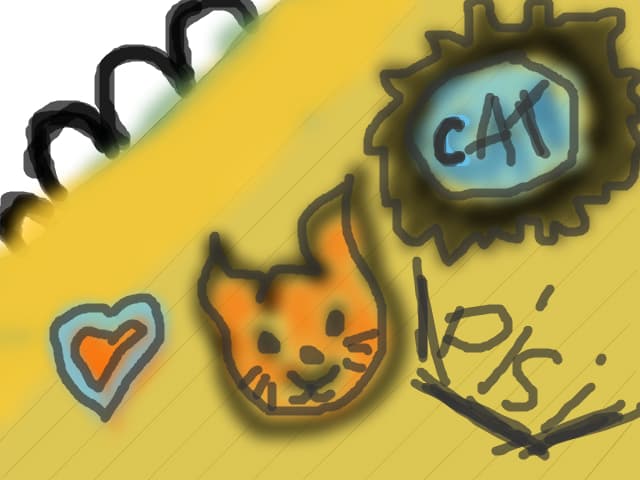 caiet
