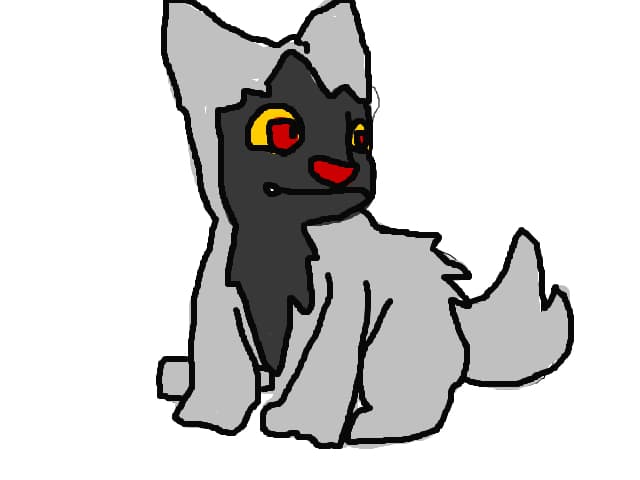 poochyena