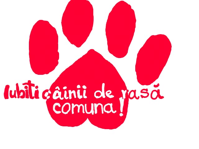caini