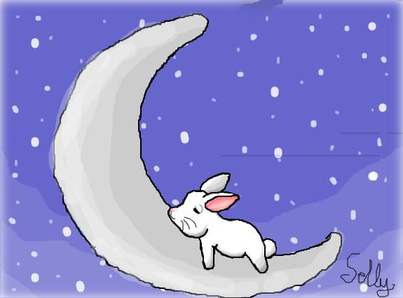 usagi