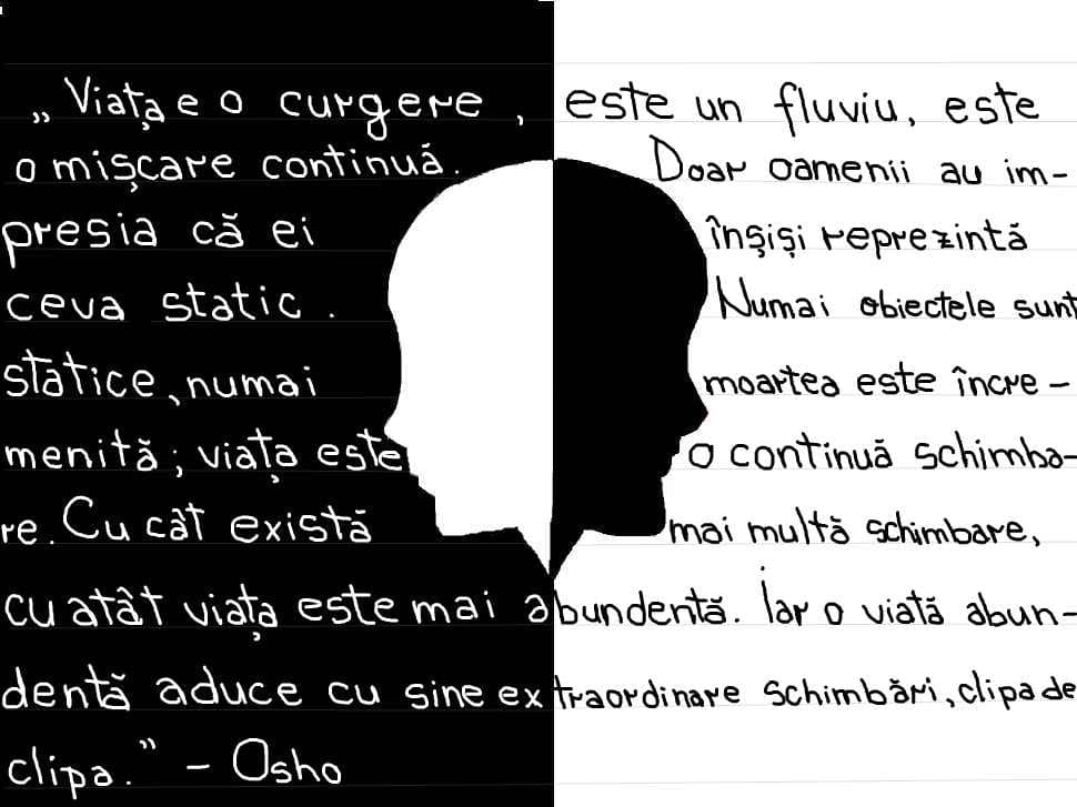 ceva...