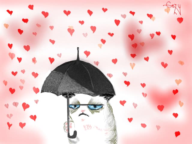 Happy Valentine\'s Day.